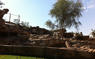 arabian tahr site